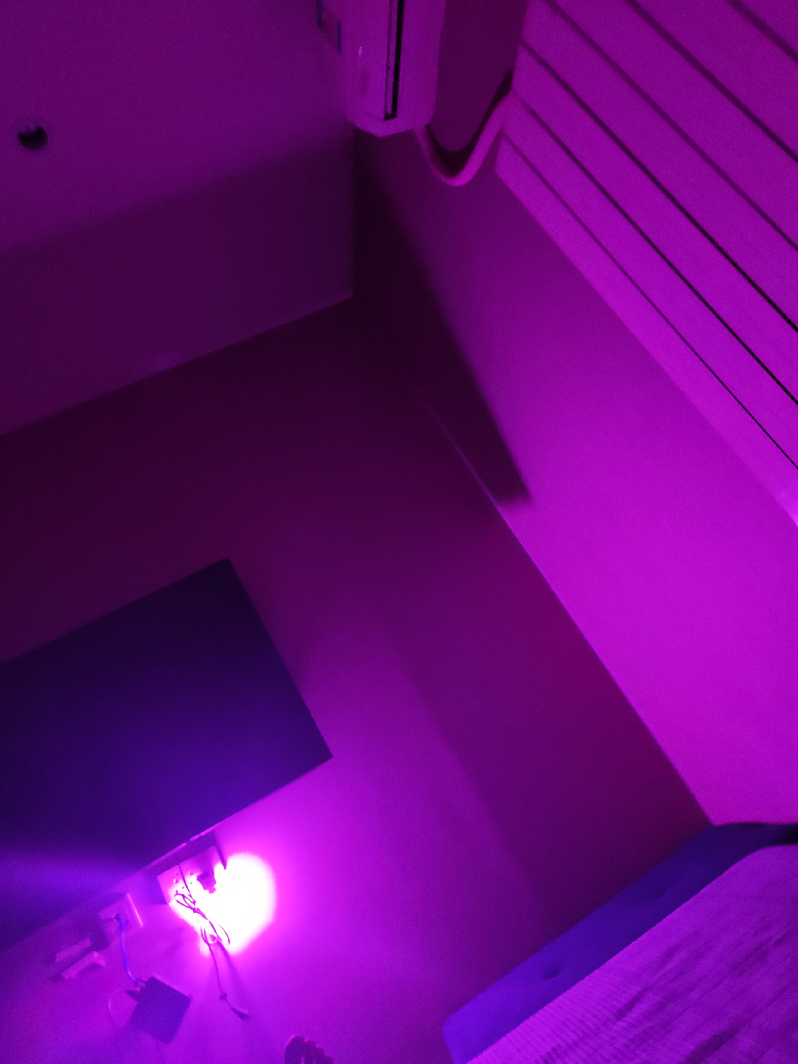 IMG_20260509_211359_Burst10.jpg