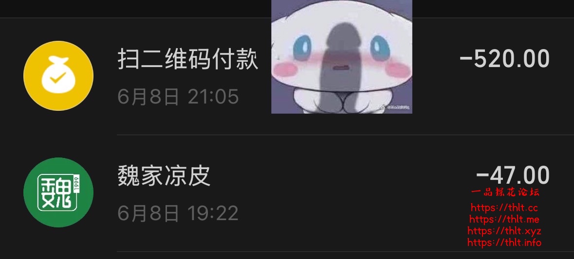 IMG_2038.jpeg