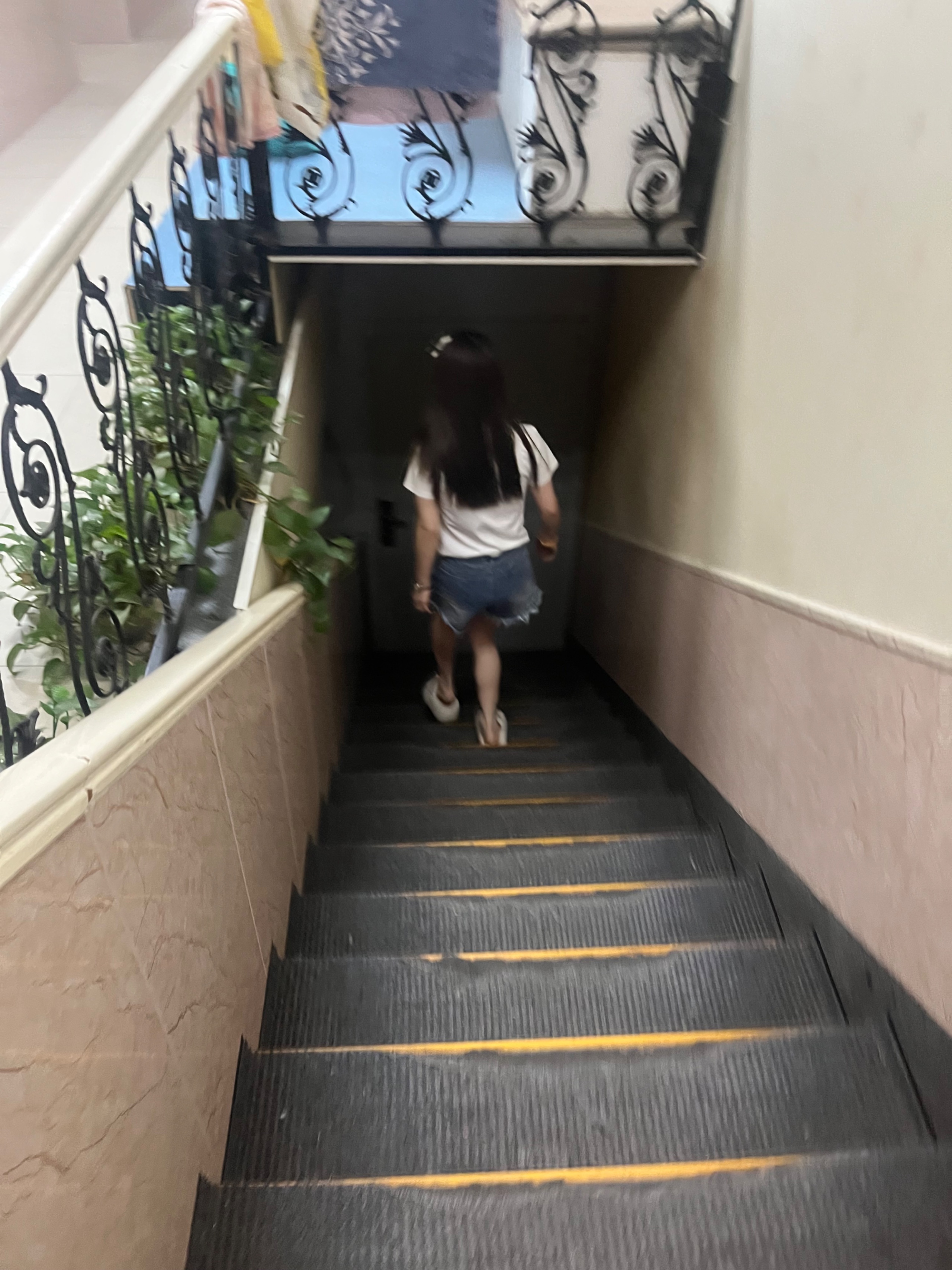 IMG_5413.jpeg