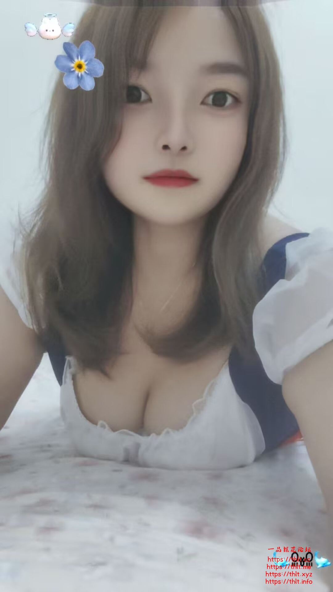 03303779.jpg