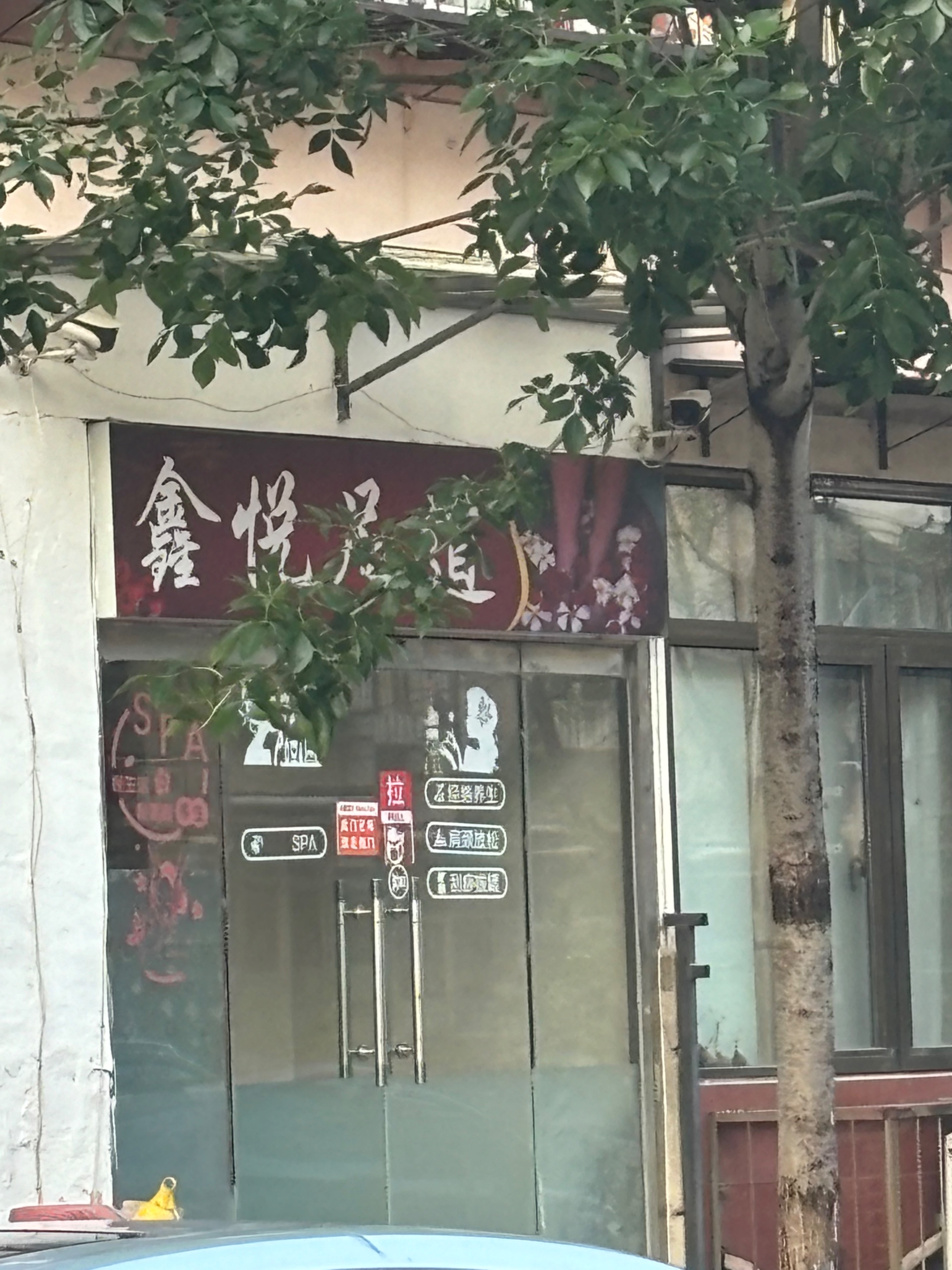 IMG_6384.jpeg